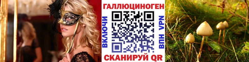 Галлюциногенные грибы Psilocybe  что такое наркотик  Плавск 
